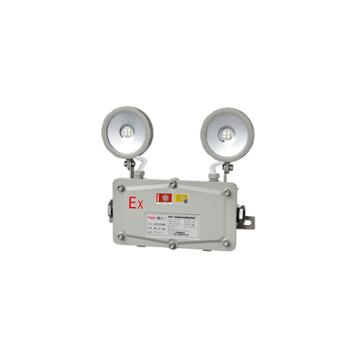 IP65防爆防水双头灯