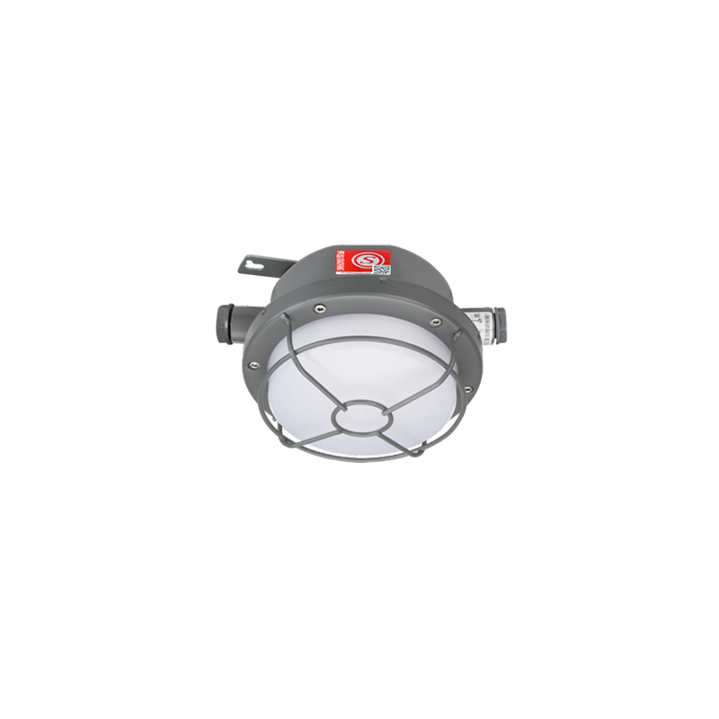 防爆防水照明灯